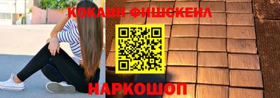 крисы Кунгур