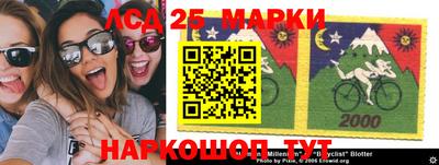 крисы Кунгур