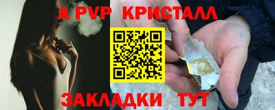 крисы Кунгур