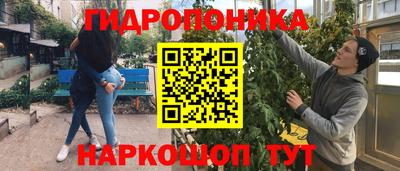 крисы Кунгур