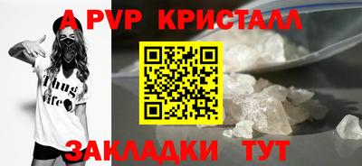 крисы Кунгур