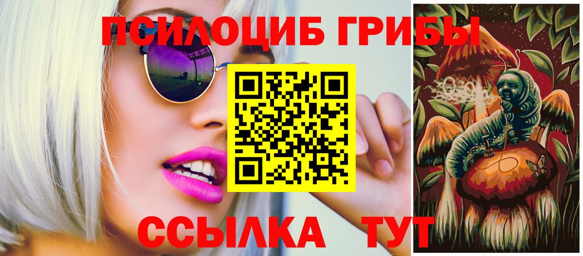 Псилоцибиновые грибы GOLDEN TEACHER  Вход с VPN  Псилоцибиновые грибы мицелий  Кимры 